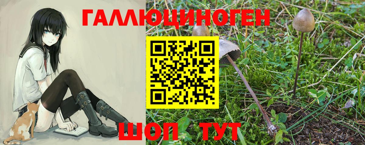 Бошки Шишки  Вход с VPN  МАРИХУАНА  Где найти наркотики?  МДМА  Морозовск  ГАШ  Меф кристаллы 