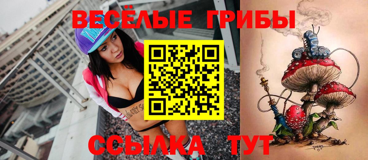 Псилоцибиновые грибы ЛСД  Вход с VPN  Морозовск 