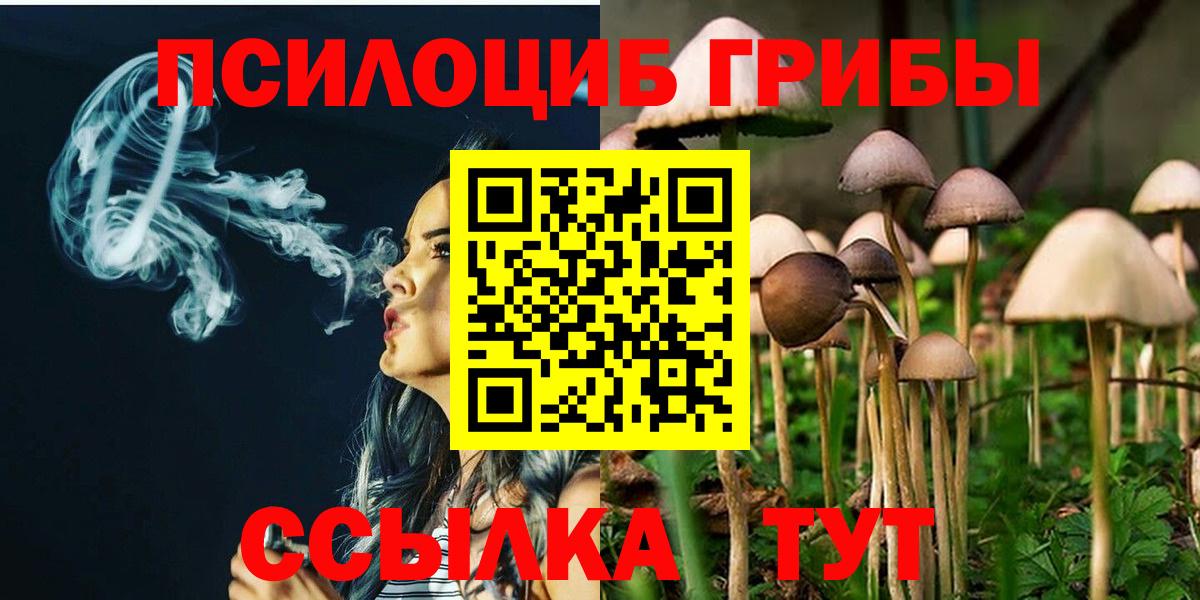 Псилоцибиновые грибы Cubensis Морозовск